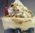 Zone Chocolate Parfait