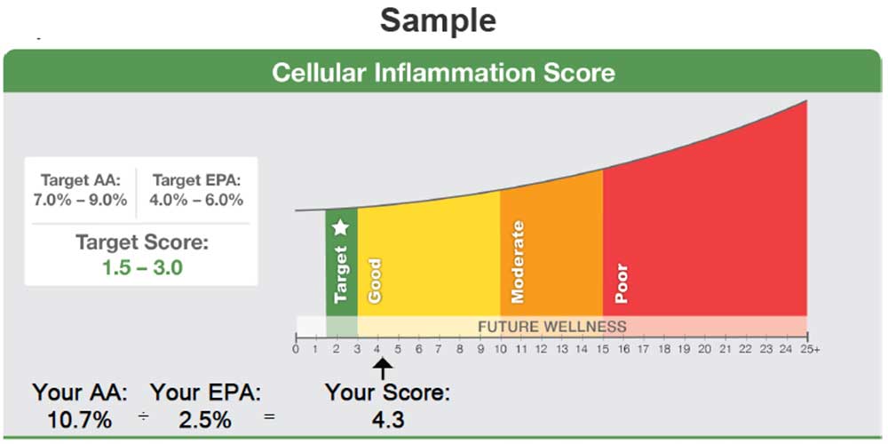 Zone Labs Cellular Inflammation Test Kit