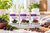 Polyphenols